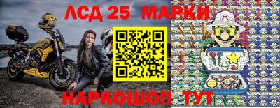 крисы Бийск