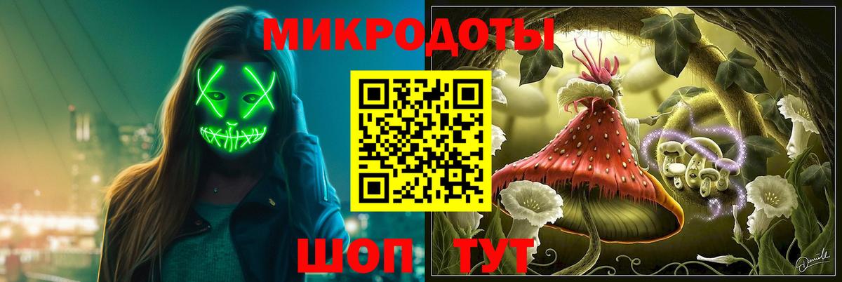 Псилоцибиновые грибы Psilocybine cubensis Джанкой